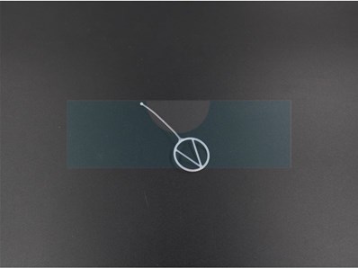 Retenue de bouchon de réservoir pour Echo (13105152430)