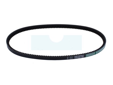 Courroie pour tondeuse As Motor (G07857042)