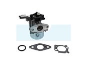Carburateur pour moteur Briggs & Stratton (796608)
