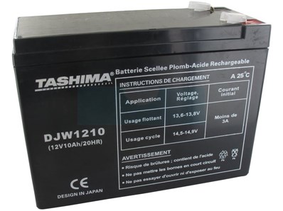 Batterie motoculture Tashima 12V, 10Ah adaptable pour ECOMOWER (DJW1210)