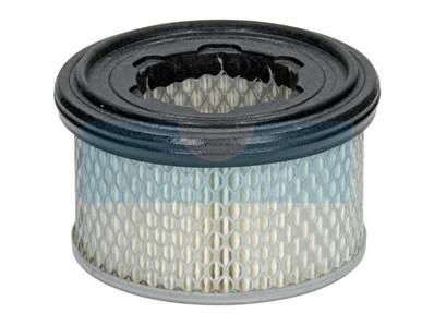 Filtre à air pour moteur Lombardini (2175306)