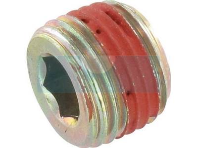 Bouchon de vidange d'huile pour moteur Briggs & Stratton (690343)