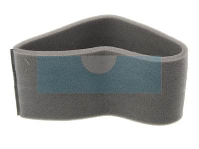 Filtre à air pour moteur Briggs & Stratton (271794)