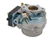 Carburateur pour moteur Briggs & Stratton (694026)