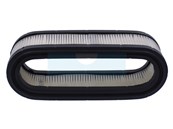 Filtre à air pour moteur Briggs & Stratton (394019)