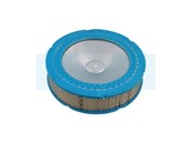 Filtre à air pour moteur Kawasaki (110137011)