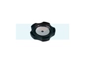 Bouchon d'essence pour moteur Briggs & Stratton (846987)