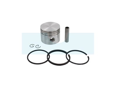 Piston pour moteur Briggs & Stratton (295587)