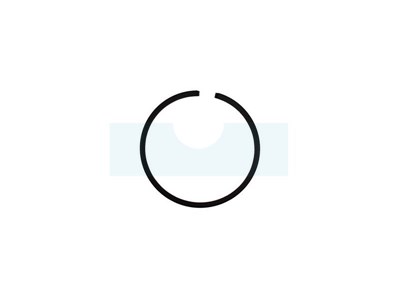 Segment pour tronçonneuse Echo (10001113330)