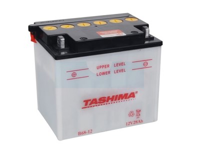 Batterie plomb Tashima pour tondeuse autoportée 12V, 28Ah (B6812)