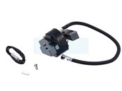 Bobine d'allumage électronique pour moteur Briggs & Stratton (591420)