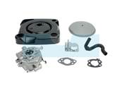 Carburateur pour moteur Briggs & Stratton (846082)