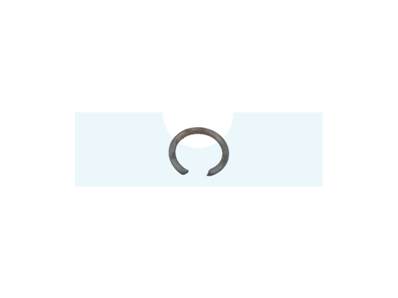 Clips de maintien du filtre essence pour carburateur Walbro (1642)
