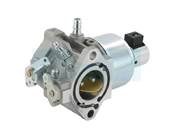 Carburateur pour moteur Briggs & Stratton (791889)