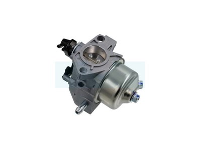 Carburateur pour moteur GGP (118550375/0)