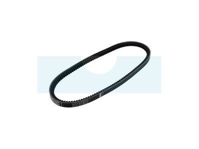 Courroie pour tondeuse débroussailleuse As Motor (G07352015)