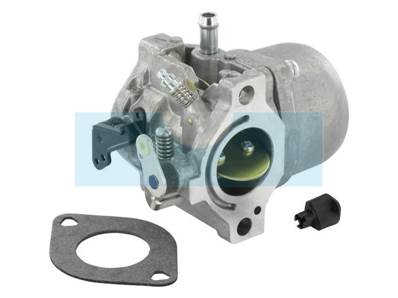 Carburateur pour moteur Briggs & Stratton (799728)