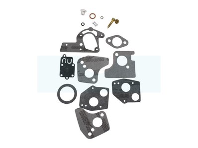 Kit réparation carburateur pour moteur Briggs & Stratton (495606)