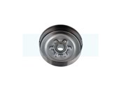Pignon pour tronçonneuse Echo (A556000543)