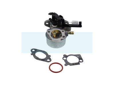 Carburateur pour moteur Briggs & Stratton (591137)