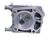 Culasse pour moteur Briggs & Stratton (84001270)