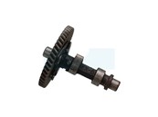 Arbre à cames pour moteur Honda (14100ZE1812)