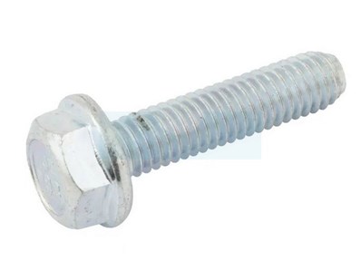 Boulon de cache culbuteur pour moteur Stiga (118551535/0)