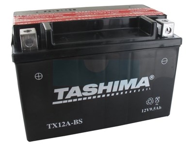 Batterie plomb étanche sans entretien 12V, 9,5Ah (FTX12ABS)