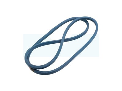 Couuroie trapézoïdale (FGP013444)