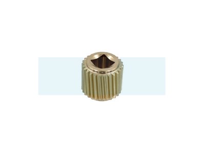 Pignon à vis archimède pour As Motor (G04330014)