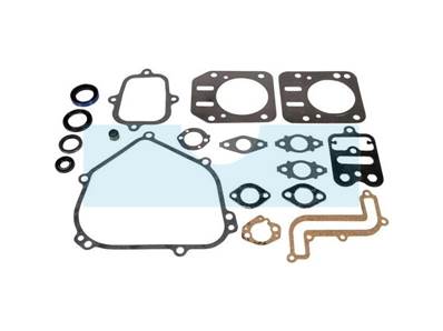 Pochette de joint pour moteur Briggs & Stratton (791797)