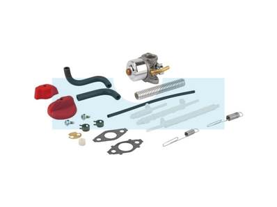 Carburateur pour moteur Briggs & Stratton (798917)