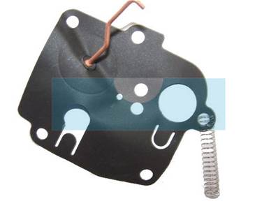 Membrane + ressort pour moteur Briggs & Stratton (391681)