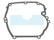 Carter de vilebrequin pour moteur Briggs & Stratton (493279)