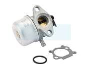 Carburateur pour moteur Briggs & Stratton (790978)