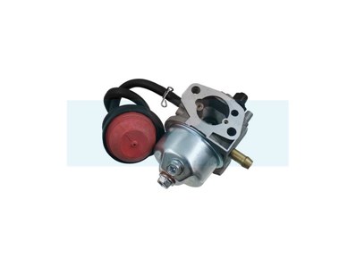 Carburateur pour moteur MTD (75110736)