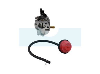 Carburateur pour moteur MTD (75110873)