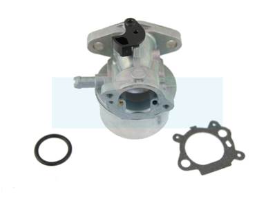 Carburateur pour moteur Briggs & Stratton (498170)