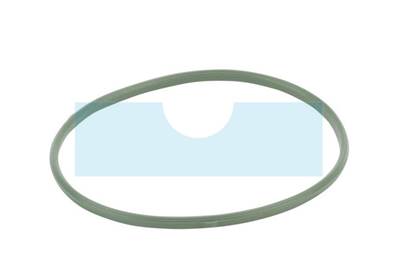 Joint de cuve pour moteur Briggs & Stratton (592485)
