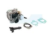 Carburateur pour moteur Briggs & Stratton (797283)