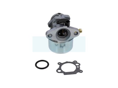 Carburateur pour moteur Briggs & Stratton (498170)