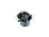 Carburateur pour moteur Briggs & Stratton (790120)