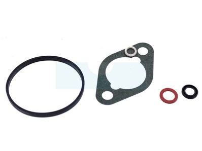Kit joint de carburateur pour moteur Briggs & Stratton (715081)