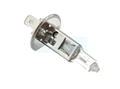 Ampoule 12v 55w H1