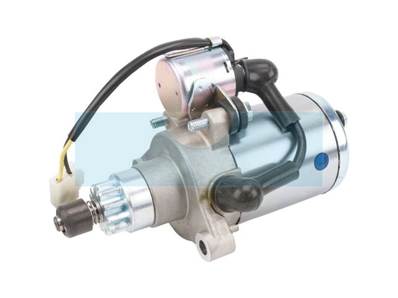 Démarreur pour moteur Briggs & Stratton (715412)