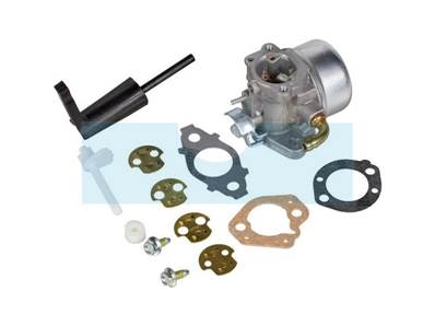 Carburateur pour moteur Briggs & Stratton (798654)
