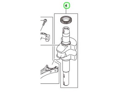 Vilebrequin pour moteur Kawasaki (130317065)